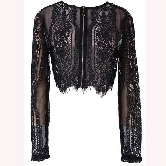 Tops - Lace Long Sleeve Blouse Crop Top Hollow Out NWT